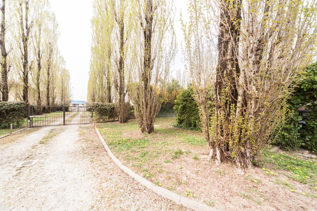 Il Borgo Di Minerva Hotel Minerbio ภายนอก รูปภาพ